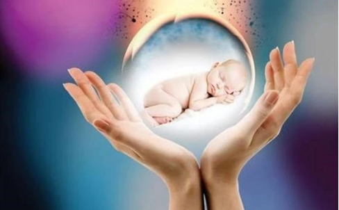 漳州供卵试管包性别：5天的囊胚和3天的新鲜胚胎之间有什么区别，哪种变体在试管婴儿移植中的成功率更高？(图1)